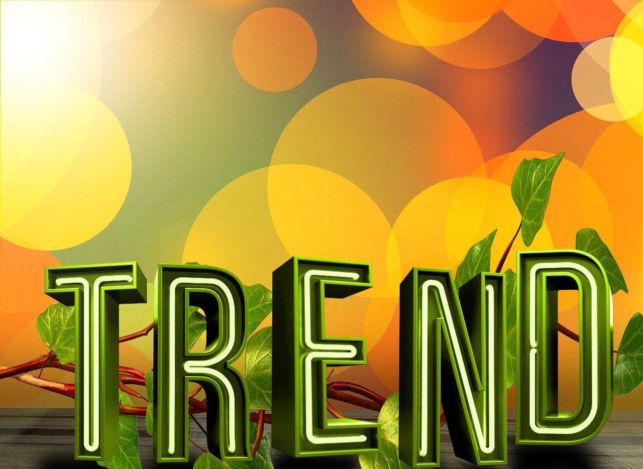 雨花國際最新動態,全球矚目焦點,引領發展潮流