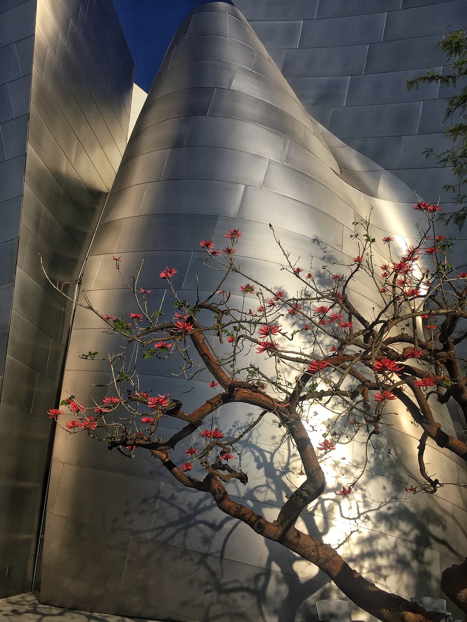 海寧城吧最新動態,城市發展的蓬勃活力及未來展望