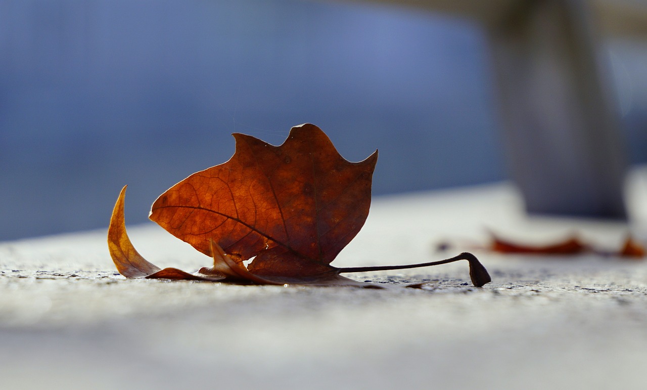 遼寧振興東北最新動態(tài)及前景展望