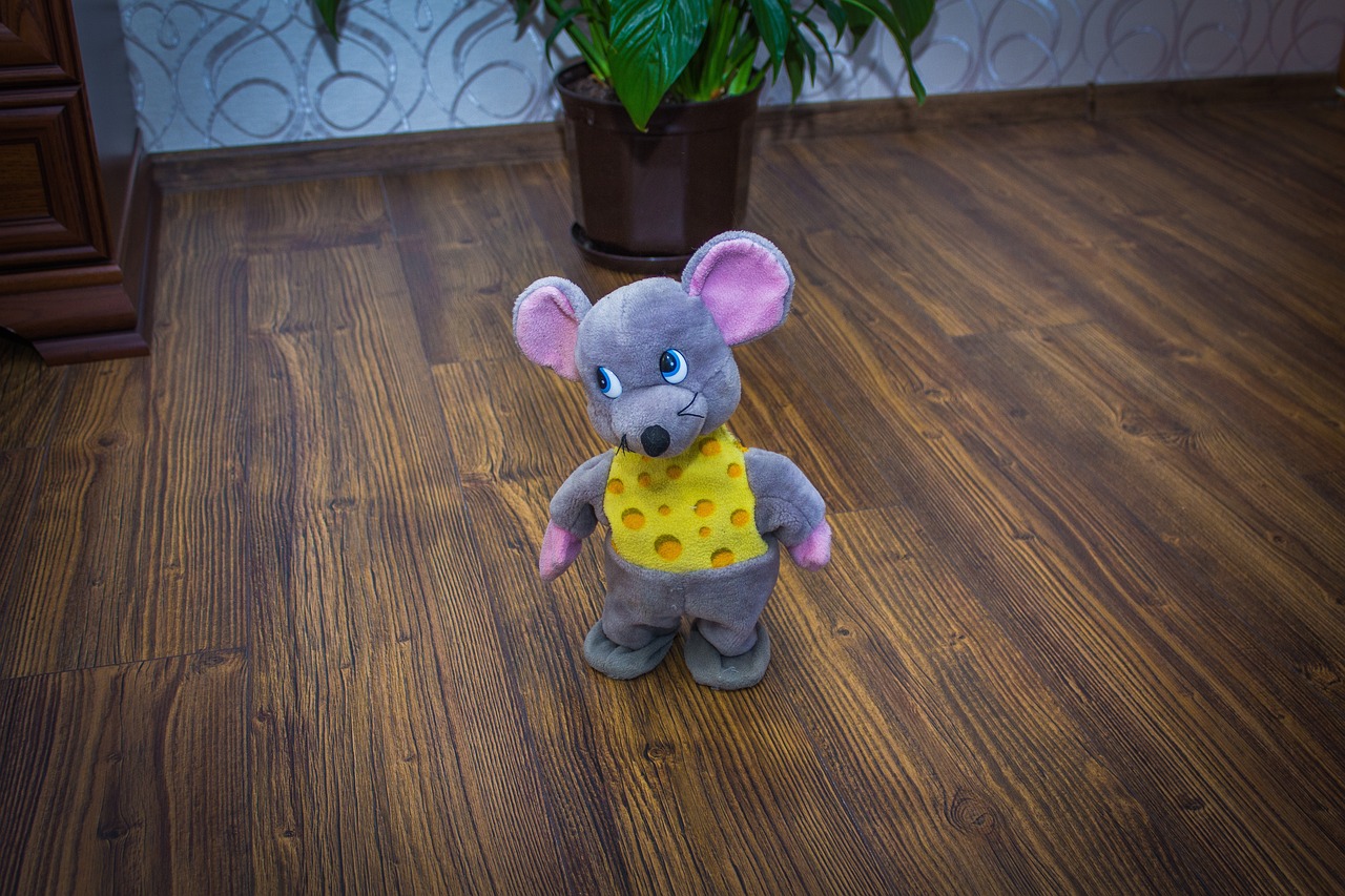 歡樂(lè)米粒兒全集最新版，開(kāi)啟兒童娛樂(lè)新世界的探索之旅