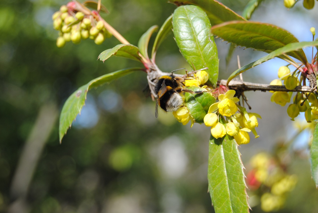 溧陽二十八所最新招聘動態(tài)及影響分析