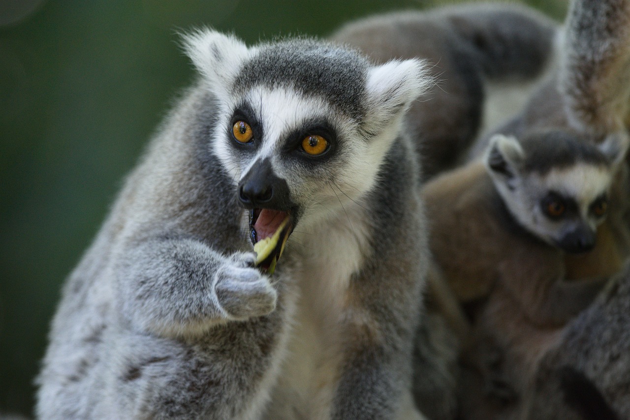 綏中猴山水庫最新動態與進展消息更新