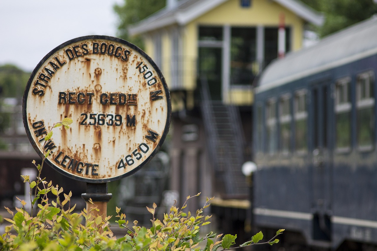 新疆人才市場最新招聘動態深度解析與求職指南