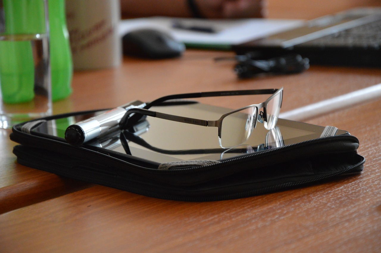 荷蘭大熊貓最新動態，友誼使者與和平的象征更新揭秘