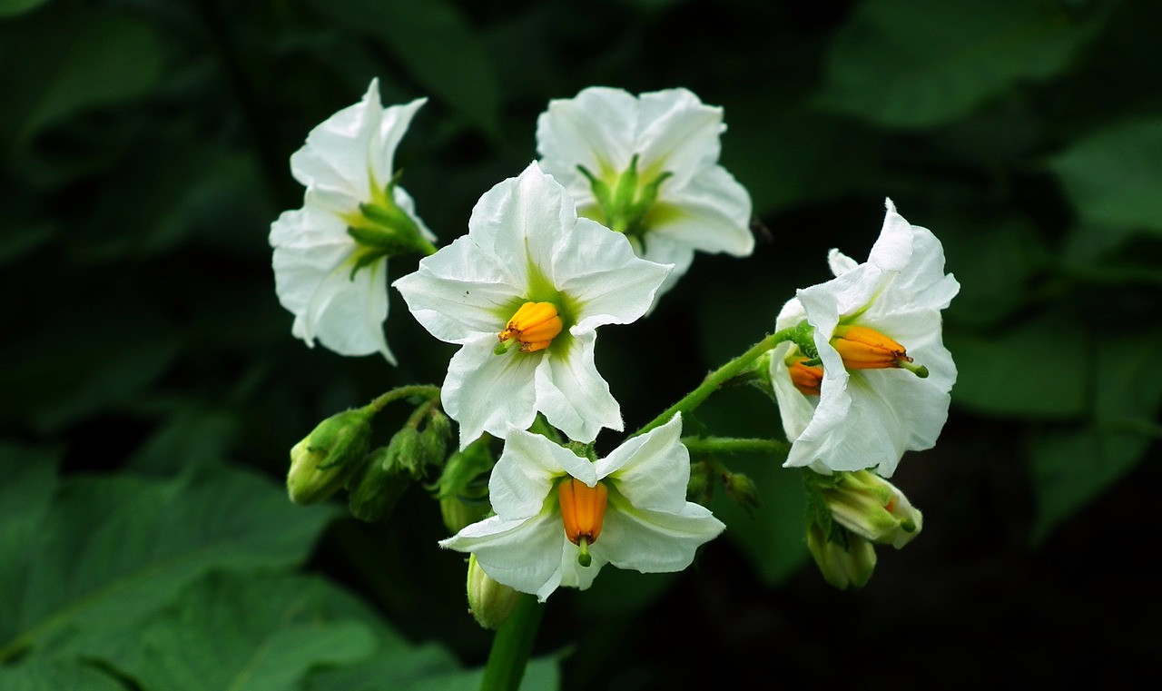 美國失聯女生最新動態與背后引人深思的話題