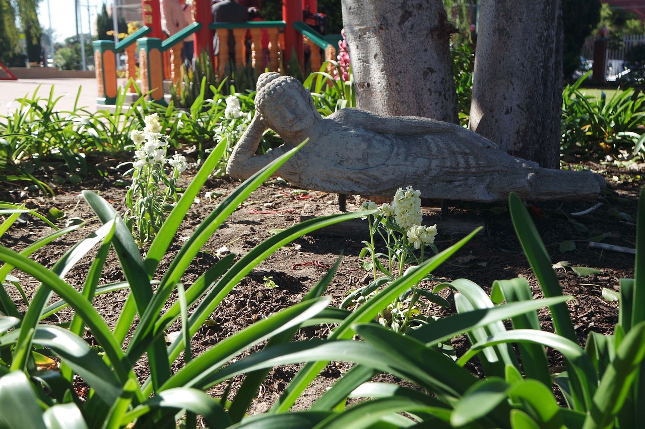 合肥墨荷園,文化與藝術之花的最新綻放