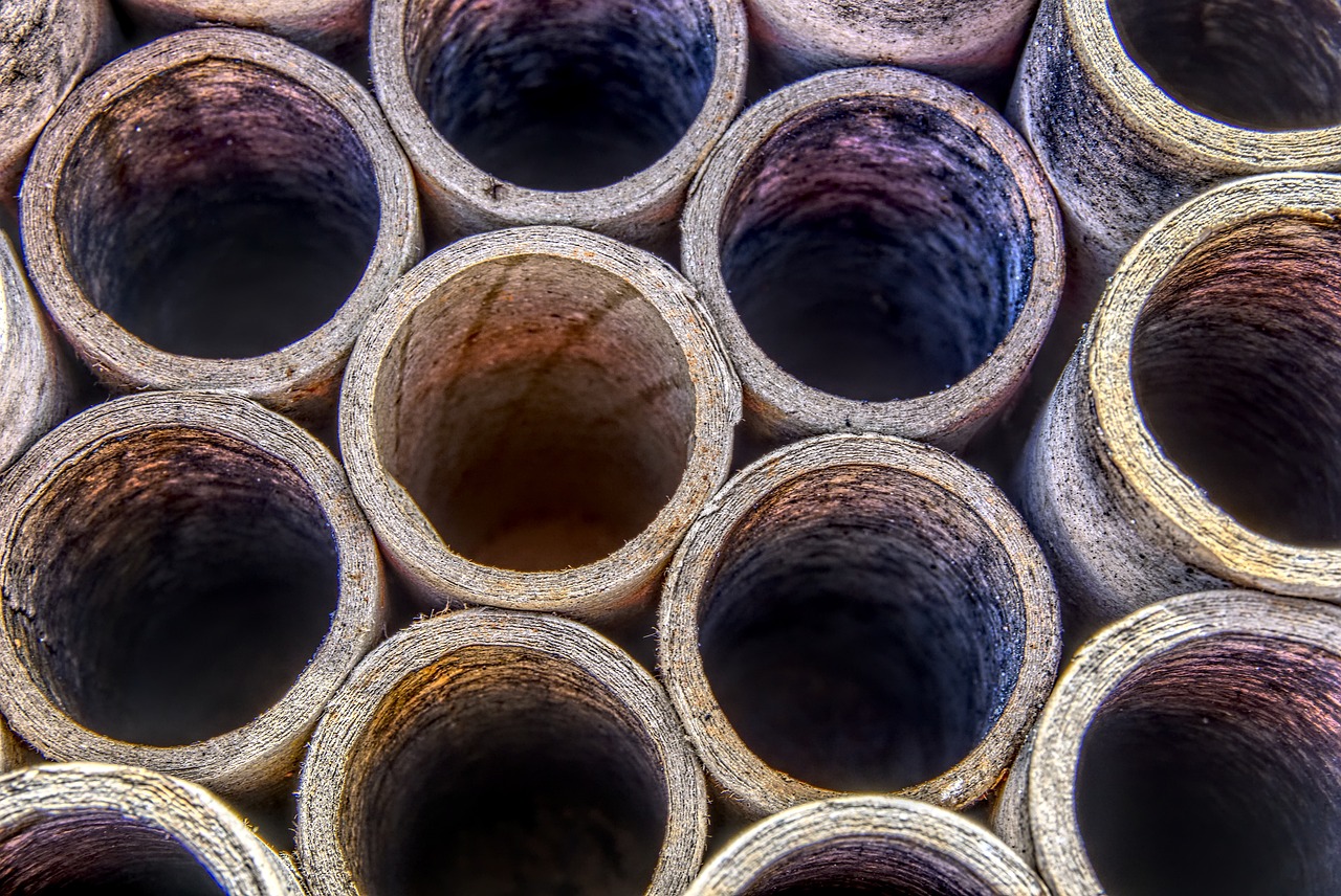 陳小春應采兒最新動態,兩人最新消息一覽