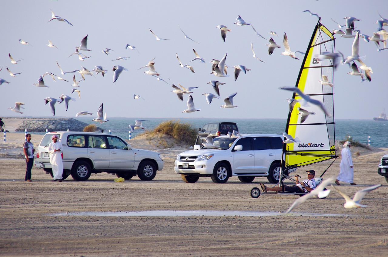 陳小春應采兒最新動態,兩人最新消息一覽