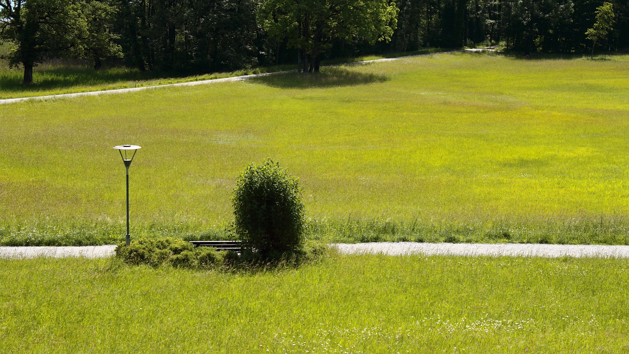 最新潮墻紙,時尚與個性的完美融合