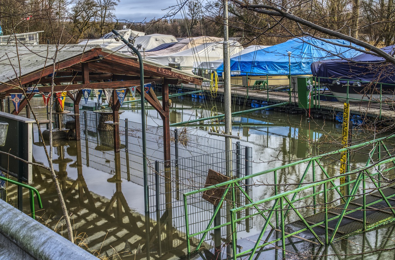 火影端最新動(dòng)態(tài)深度解析與最新資訊