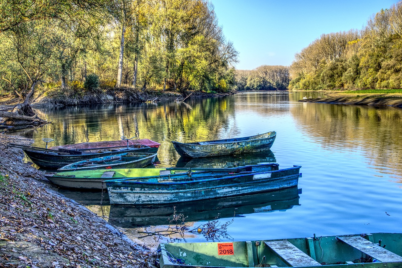 火影端最新動態深度解析與最新資訊