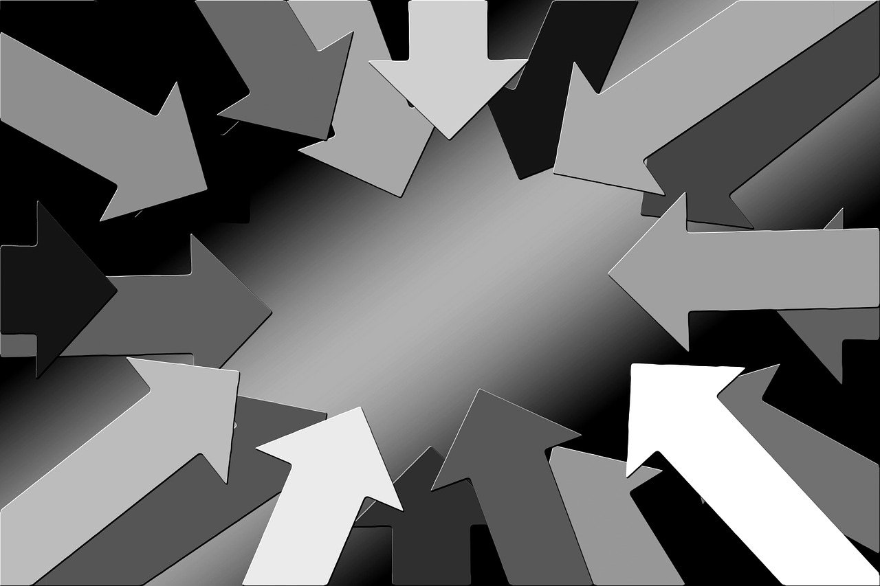 機構最新持股動向深度解析及前景展望