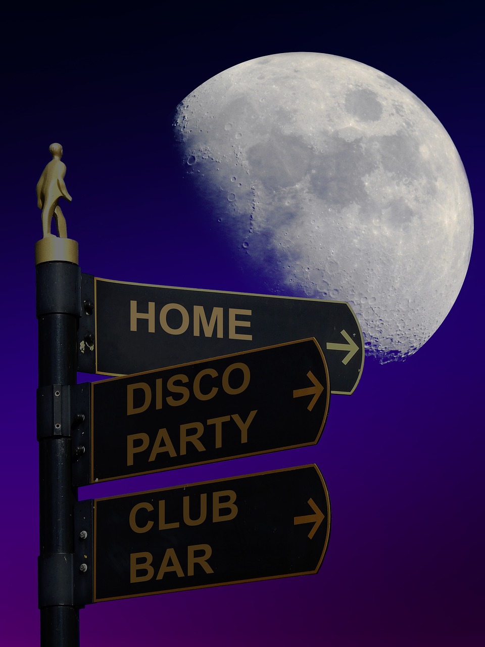 黨現象,最新趨勢與深度解析