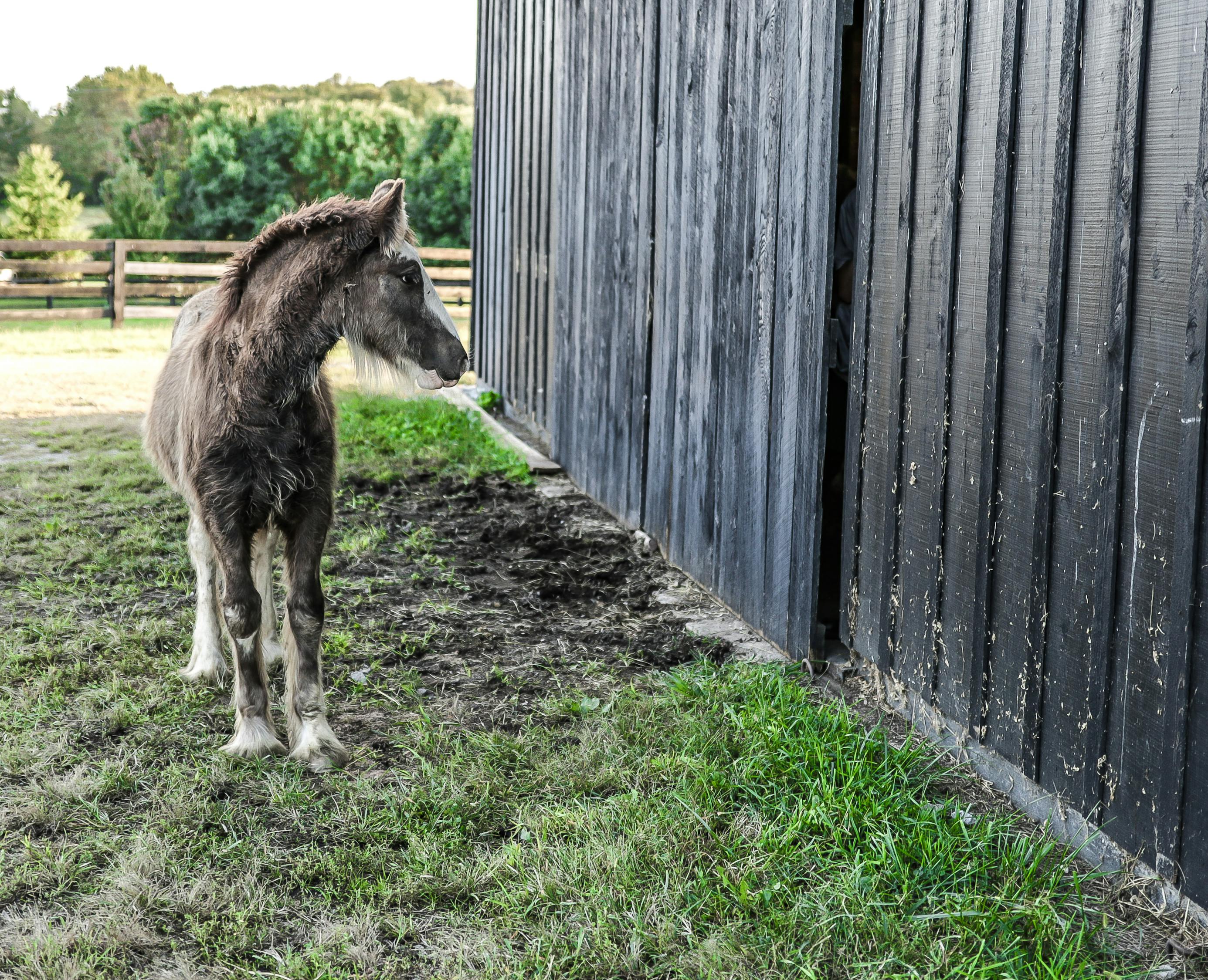 丹東最新雨情動態(tài),城市變遷與雨中情感交織
