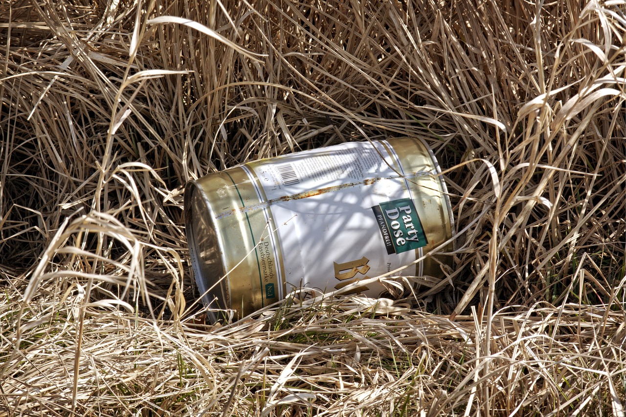 連城最新發展動態與社會熱點深度解析新聞速遞