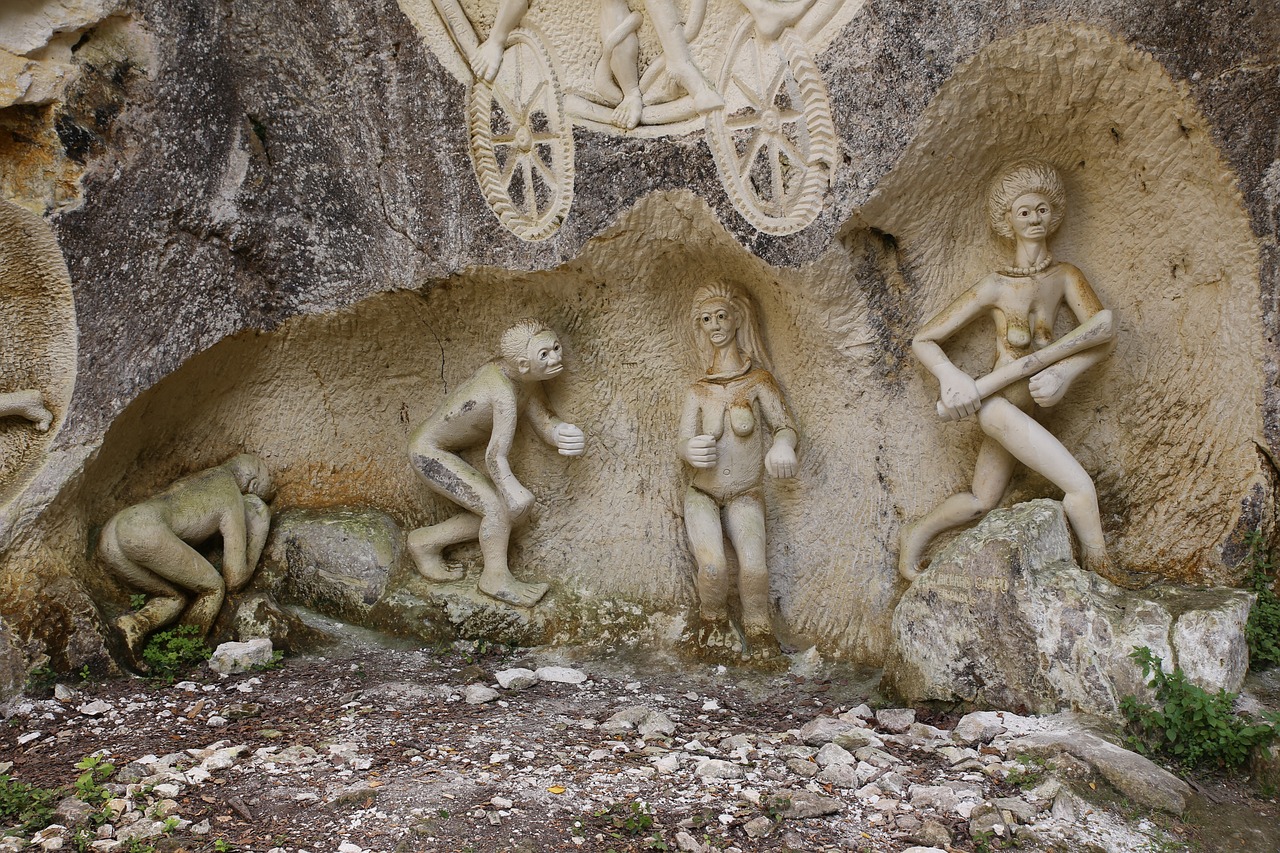 探索猴子最新天賦,靈長(zhǎng)類動(dòng)物的潛能與進(jìn)化探索之路