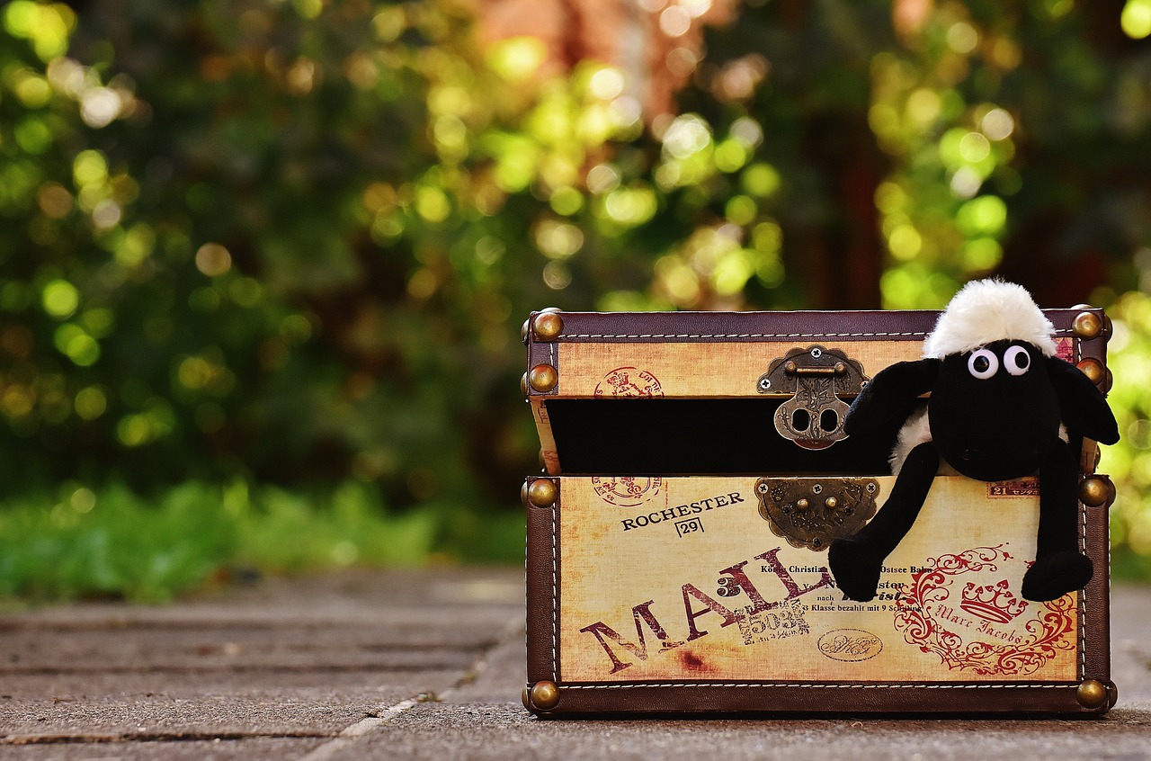 探索新領域,2017最新愛搞搞