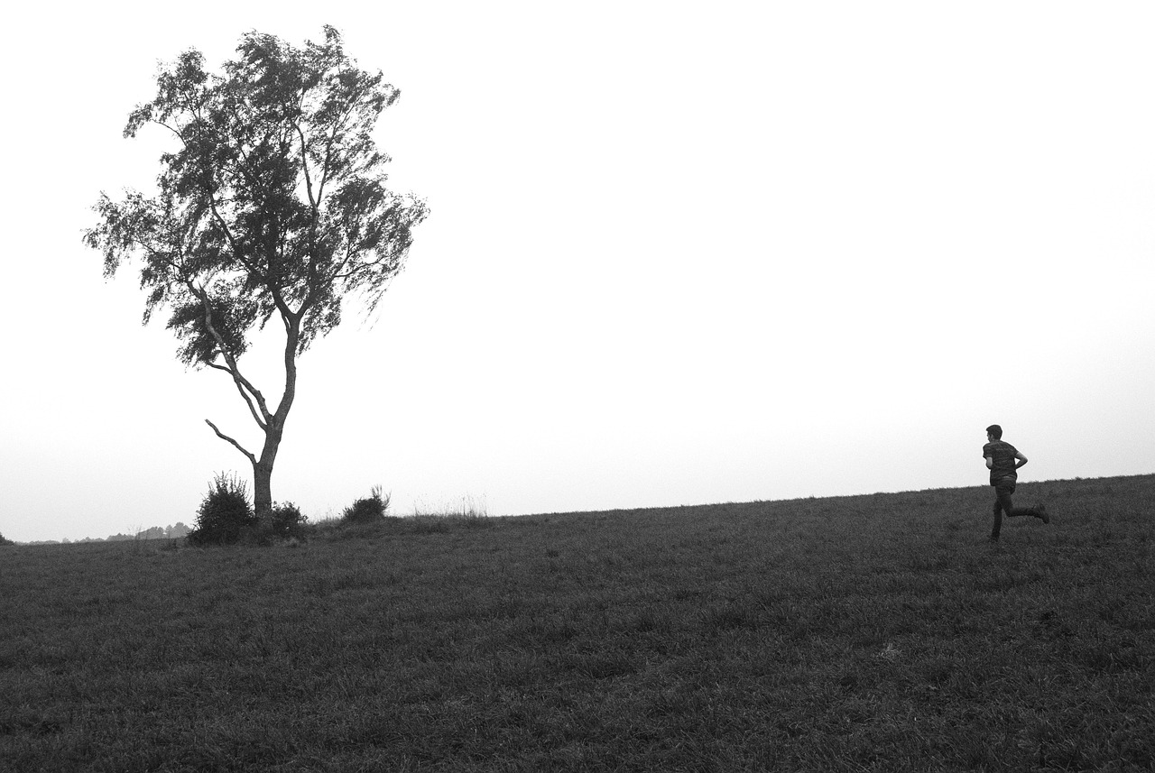 最新紅網華容,探索與發現的旅程