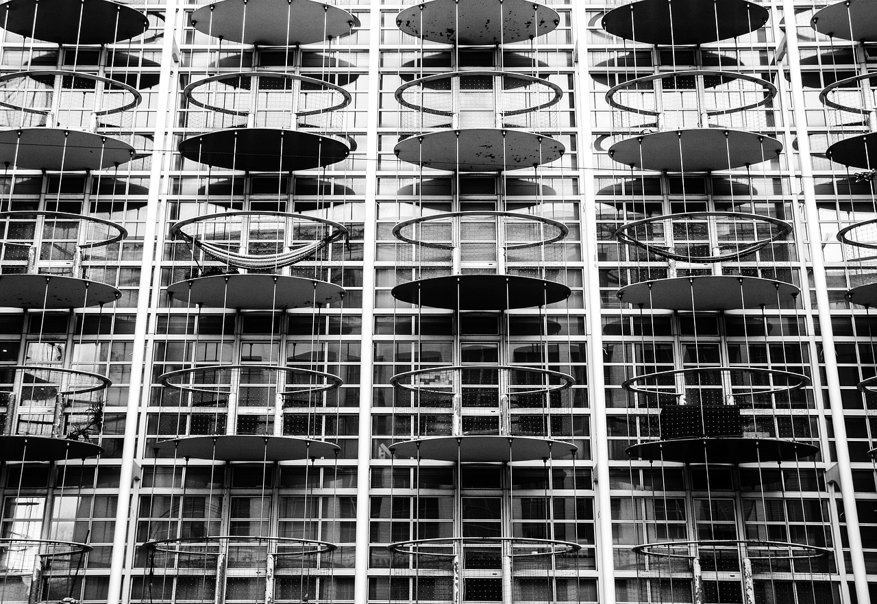 香芋最新價格分析與展望，未來趨勢解析