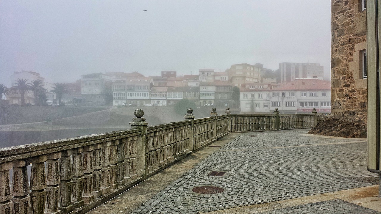 盤圓最新價格及市場趨勢深度解析,動態分析與展望