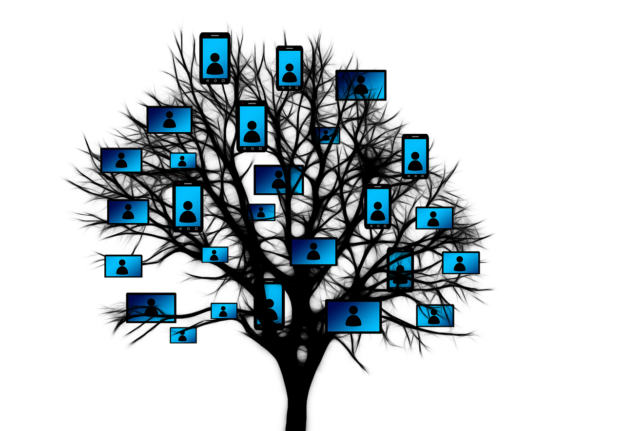 彝良最新新聞動態(tài)更新