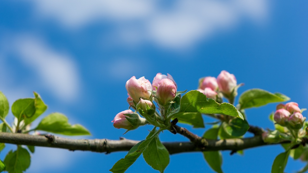 魯陽節(jié)能最新動(dòng)態(tài),引領(lǐng)行業(yè)創(chuàng)新,打造綠色未來