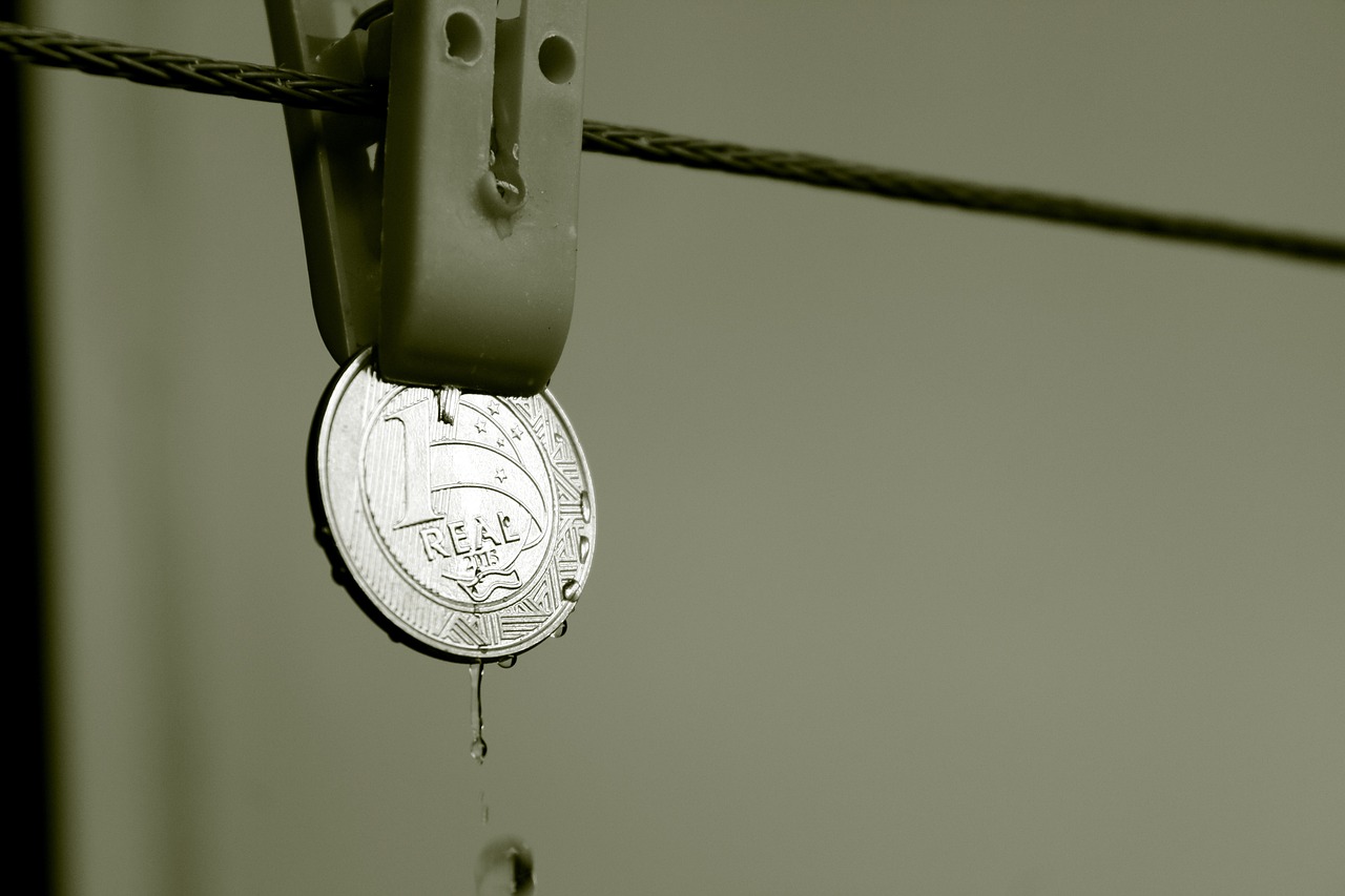 MSD幣最新價格及動態分析概覽