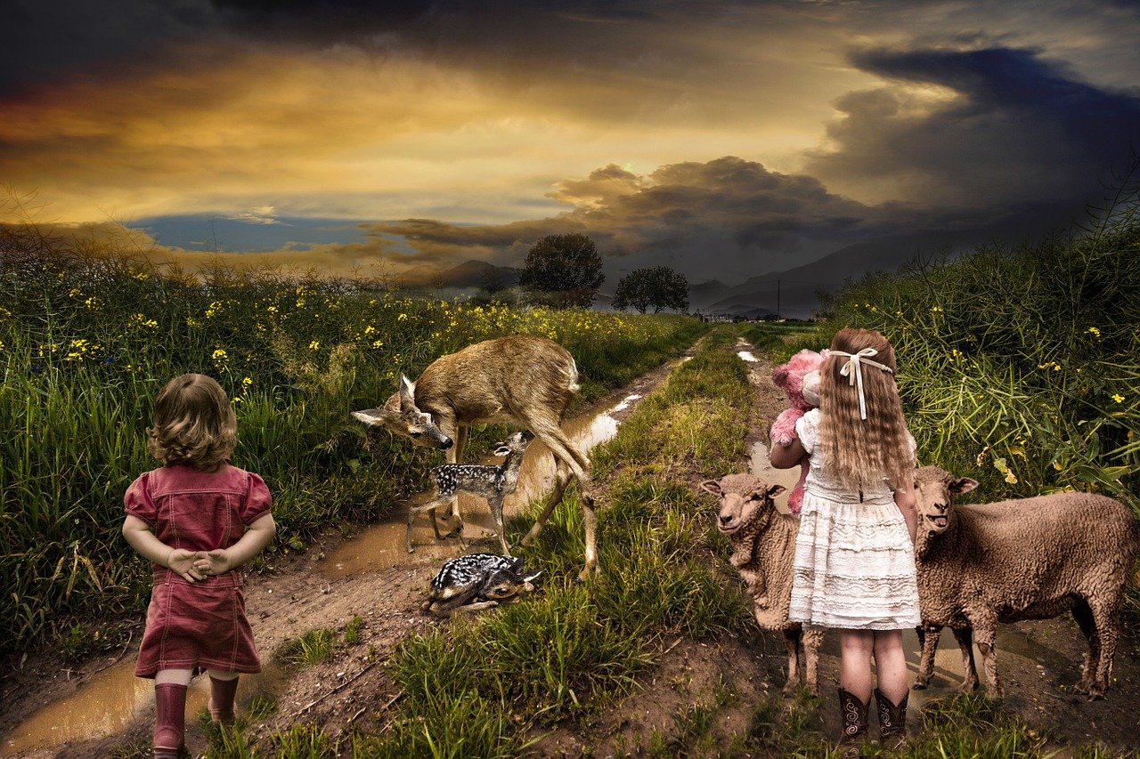 劍三最新區(qū),開啟探索新世界的奇幻之旅