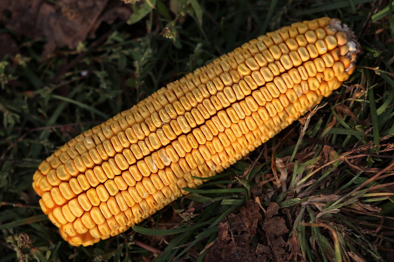 2025年1月 第174頁