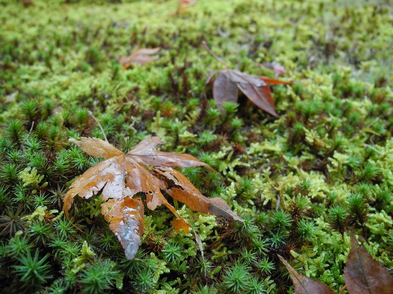 陽信最新新聞速遞,聚焦時事熱點,洞悉發(fā)展動態(tài)