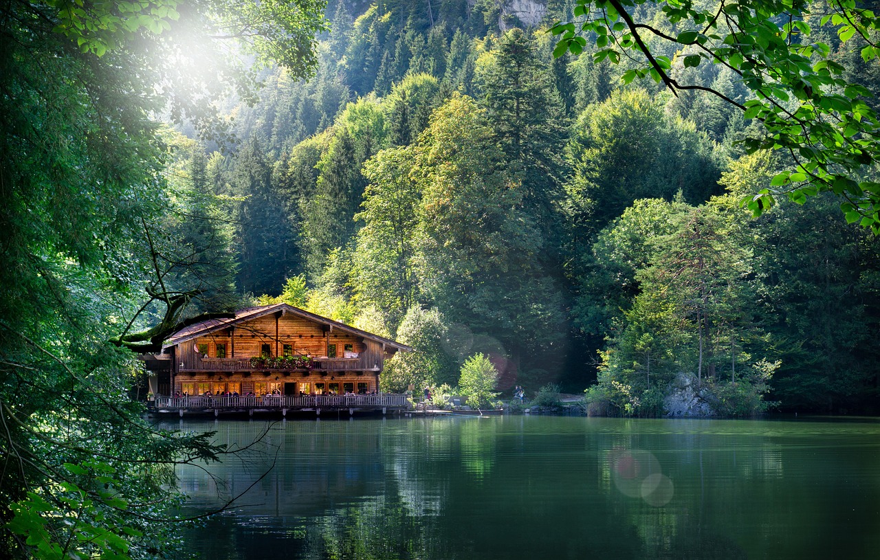 星玩娛樂最新動態,引領娛樂潮流的前沿資訊