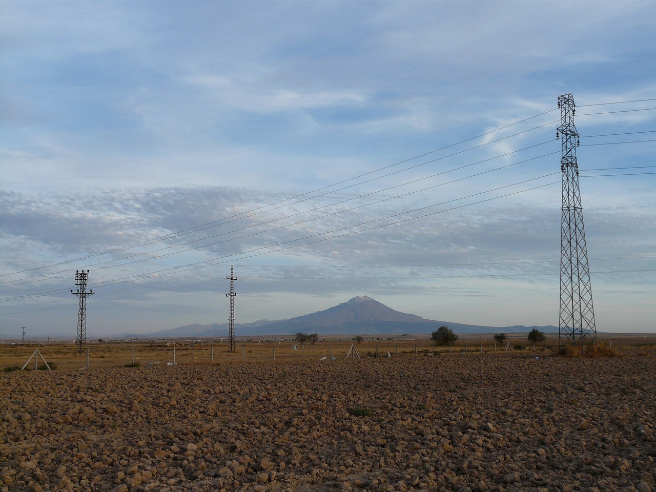 冷榮泉的最新動態與成就概覽