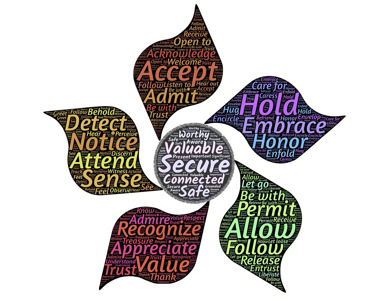 黃山事件最新動態(tài),多方聯(lián)動共創(chuàng)和諧旅游環(huán)境